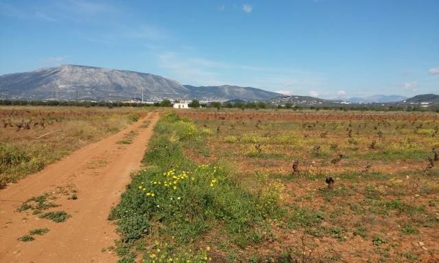 (For Sale) Land Large Land  || East Attica/Spata - 5.840 Sq.m, 85.000€ 