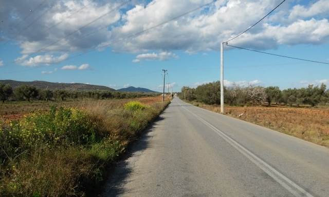(For Sale) Land Large Land  || East Attica/Spata - 11.000 Sq.m, 380.000€ 