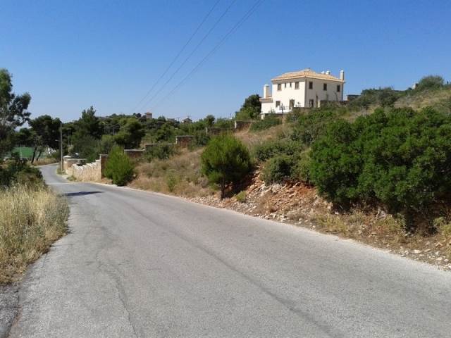 (For Sale) Land Large Land  || East Attica/Anthousa - 10.156 Sq.m, 1.300.000€ 