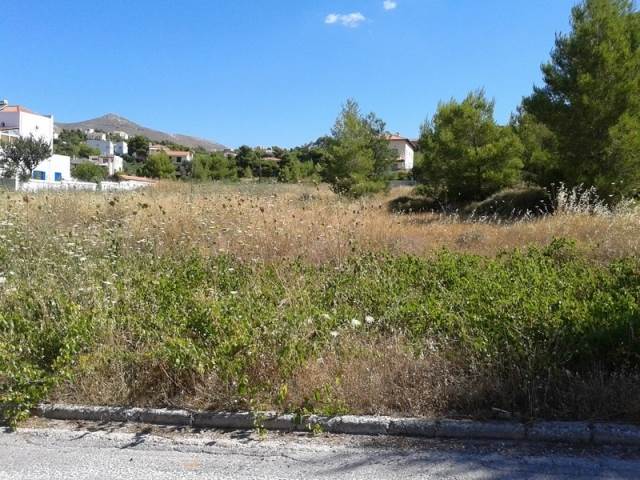 (For Sale) Land Plot || East Attica/Pikermi - 2.000 Sq.m, 480.000€ 