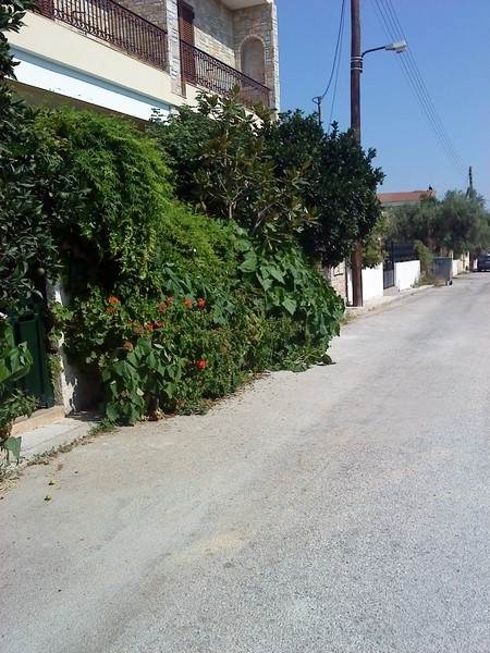 (For Sale) Land Plot || East Attica/Paiania - 524 Sq.m, 140.000€ 