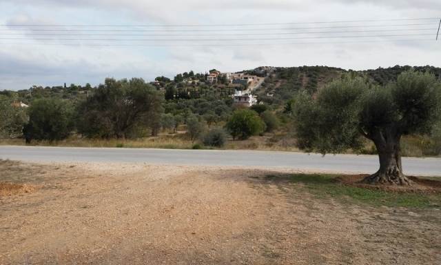 (For Sale) Land Plot || East Attica/Paiania - 1.780 Sq.m, 450.000€ 