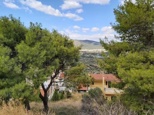 (For Sale) Land Plot || East Attica/Paiania - 500 Sq.m, 150.000€ 