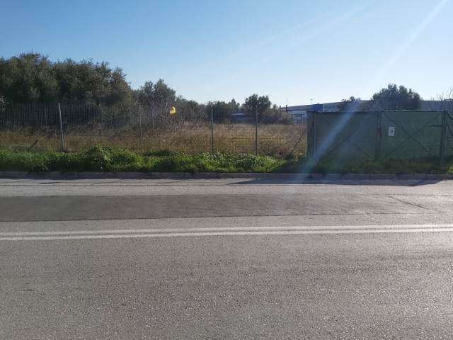 (For Sale) Land Agricultural Land  || East Attica/Gerakas - 6.228 Sq.m, 1.868.000€ 