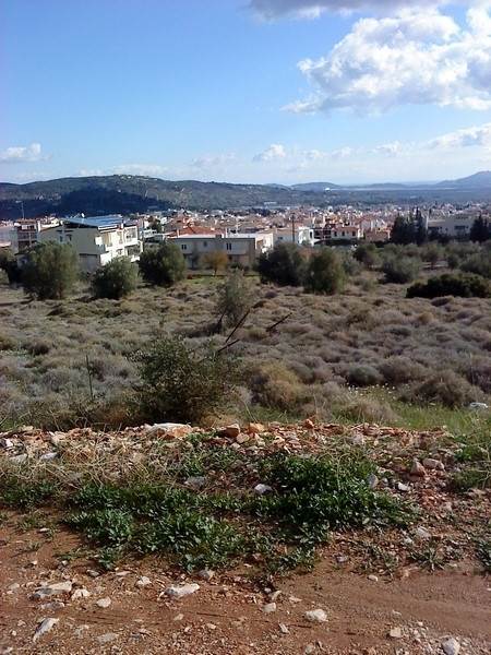 (Προς Πώληση) Αξιοποιήσιμη Γη Οικόπεδο || Ανατολική Αττική/Παιανία - 300 τ.μ, 105.000€ 