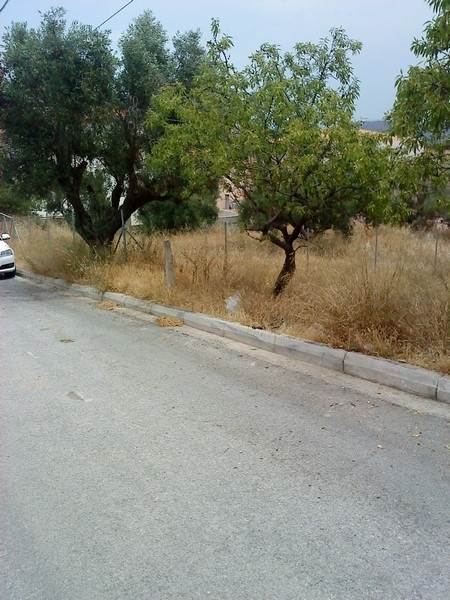 (For Sale) Land Plot || East Attica/Spata - 1.100 Sq.m, 300.000€ 