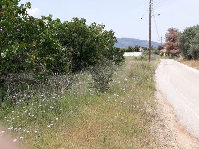 (For Sale) Land Agricultural Land  || East Attica/Paiania - 1.700 Sq.m, 60.000€ 