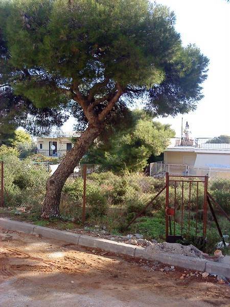 (Προς Πώληση) Αξιοποιήσιμη Γη Οικόπεδο || Ανατολική Αττική/Γλυκά Νερά - 293 τ.μ, 165.000€ 