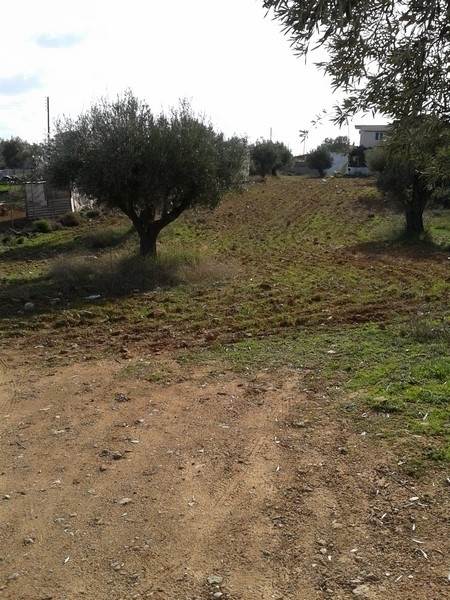 (Προς Πώληση) Αξιοποιήσιμη Γη Οικόπεδο || Ανατολική Αττική/Παιανία - 760 τ.μ, 210.000€ 