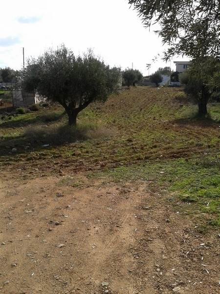 (For Sale) Land Plot || East Attica/Paiania - 760 Sq.m, 160.000€ 