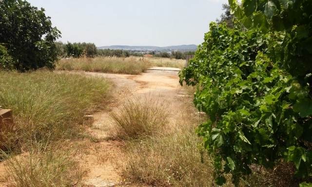 (For Sale) Land Large Land  || East Attica/Paiania - 4.010 Sq.m, 100.000€ 