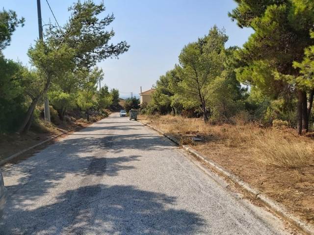 (Προς Πώληση) Αξιοποιήσιμη Γη Οικόπεδο || Ανατολική Αττική/Πικέρμι - 502 τ.μ, 85.000€ 