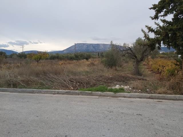 (For Sale) Land Plot || East Attica/Spata - 1.320 Sq.m, 396.000€ 