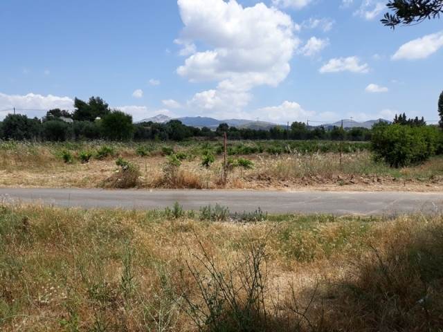 (For Sale) Land Agricultural Land  || East Attica/Pallini - 5.410 Sq.m, 170.000€ 