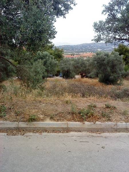 (For Sale) Land Plot || East Attica/Spata - 1.010 Sq.m, 380.000€ 