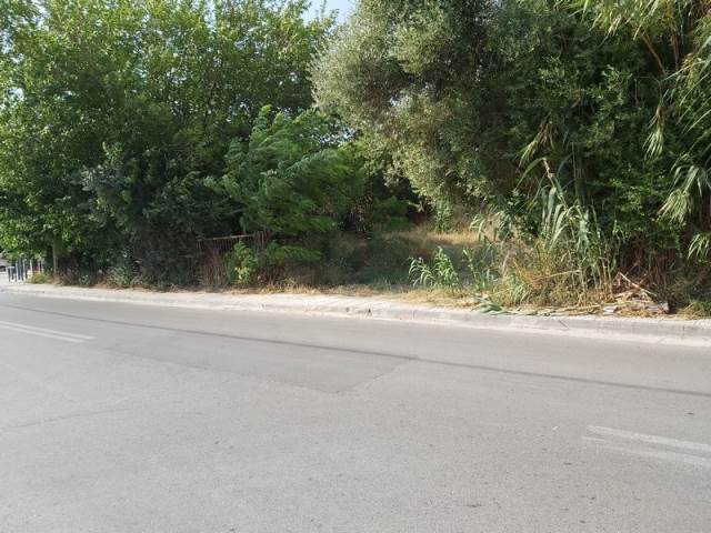(Προς Πώληση) Αξιοποιήσιμη Γη Οικόπεδο || Ανατολική Αττική/Παλλήνη - 790 τ.μ, 500.000€ 