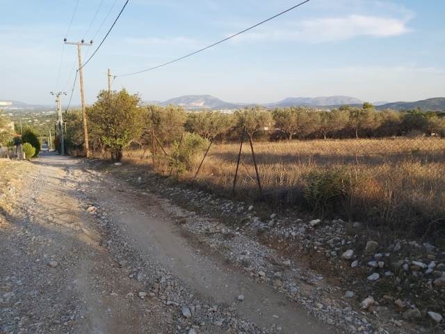 (For Sale) Land Agricultural Land  || East Attica/Paiania - 4.494 Sq.m, 80.000€ 