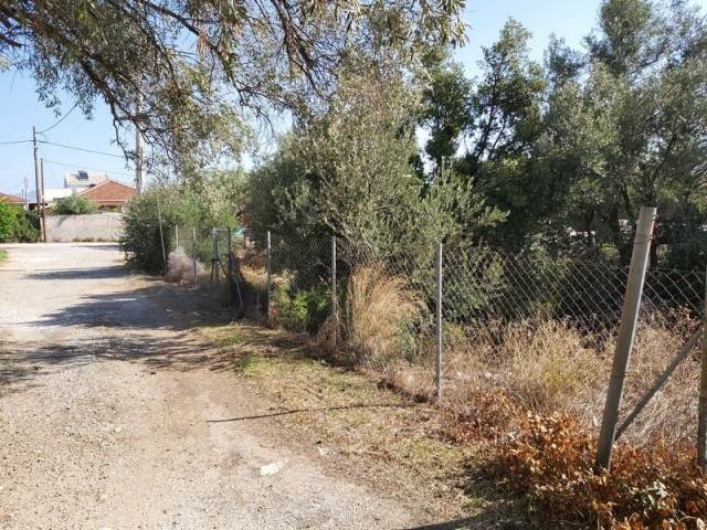 (For Sale) Land Plot || East Attica/Paiania - 221 Sq.m, 80.000€ 