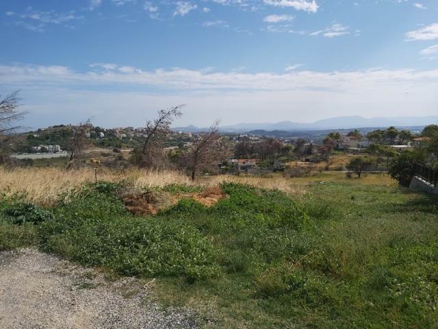 (For Sale) Land Plot || East Attica/Pallini - 1.055 Sq.m, 350.000€ 