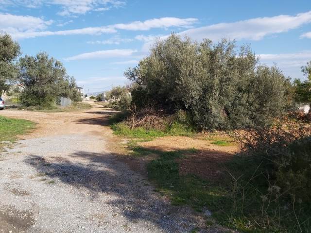 (For Sale) Land Plot || East Attica/Paiania - 585 Sq.m, 150.000€ 