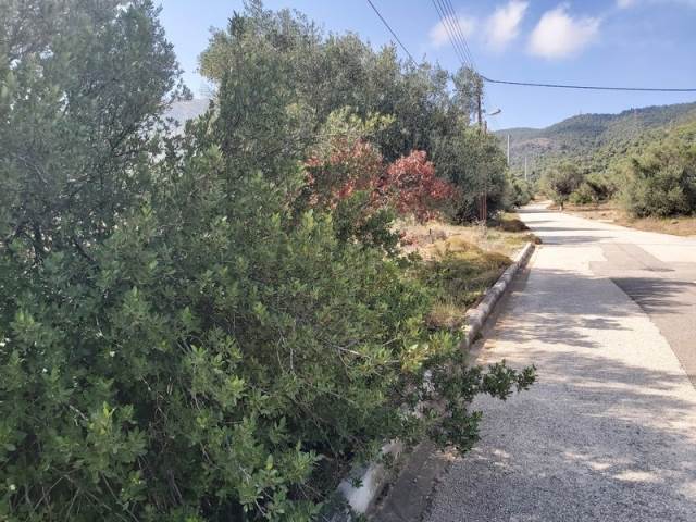 (For Sale) Land Plot || East Attica/Glyka Nera - 910 Sq.m, 570.000€ 