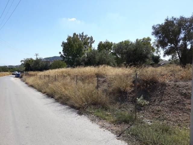 (For Sale) Land Agricultural Land  || East Attica/Paiania - 9.000 Sq.m, 150.000€ 