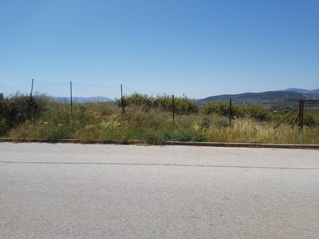 (For Sale) Land Plot || East Attica/Pallini - 1.323 Sq.m, 420.000€ 