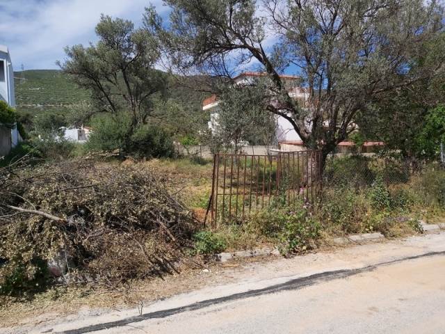 (For Sale) Land Plot || East Attica/Glyka Nera - 242 Sq.m, 120.000€ 
