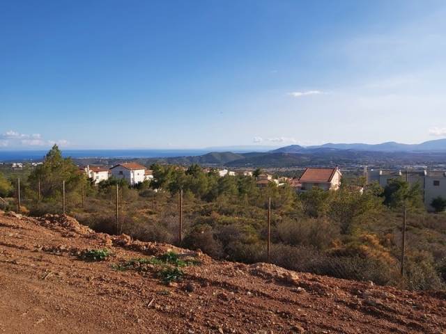 (For Sale) Land Plot || East Attica/Pikermi - 7.912 Sq.m, 2.000.000€ 