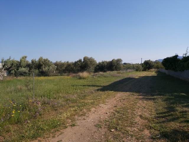 (Προς Πώληση) Αξιοποιήσιμη Γη Οικόπεδο || Ανατολική Αττική/Παιανία - 1.130 τ.μ, 220.000€ 