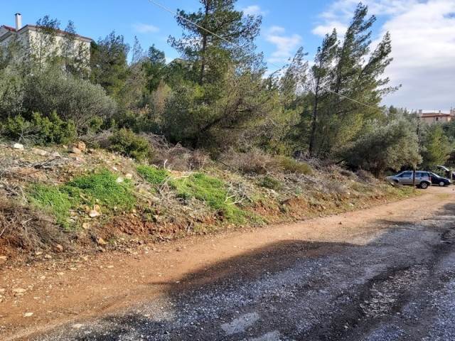 (Προς Πώληση) Αξιοποιήσιμη Γη Οικόπεδο || Ανατολική Αττική/Πικέρμι - 500 τ.μ, 95.000€ 