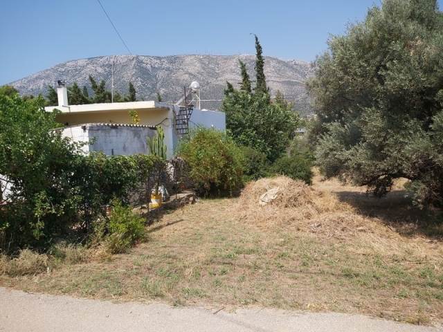 (Προς Πώληση) Αξιοποιήσιμη Γη Οικόπεδο || Ανατολική Αττική/Παιανία - 923 τ.μ, 250.000€ 