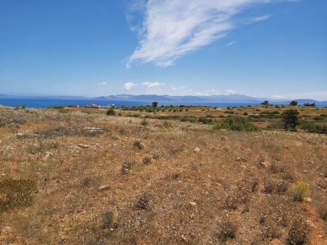 (Προς Πώληση) Αξιοποιήσιμη Γη Κτήμα || Ανατολική Αττική/Ραφήνα - 4.612 τ.μ, 322.000€ 