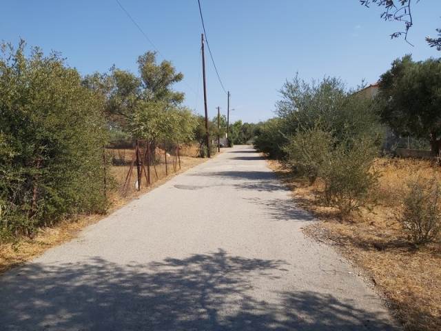 (Προς Πώληση) Αξιοποιήσιμη Γη Οικόπεδο || Ανατολική Αττική/Παιανία - 337 τ.μ, 120.000€ 