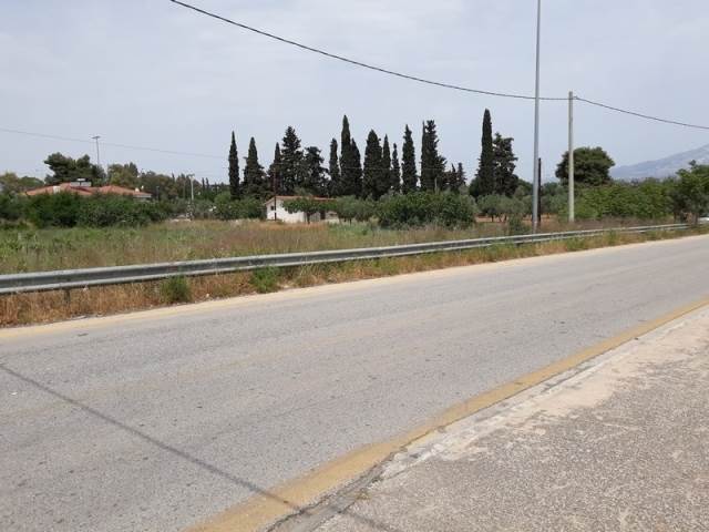 (For Rent) Land Large Land  || East Attica/Paiania - 4.000 Sq.m, 2.000€ 