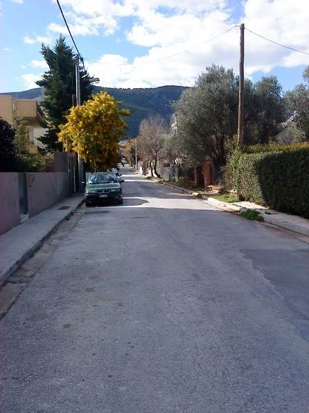 (For Sale) Land Plot || East Attica/Pallini - 800 Sq.m, 600.000€ 