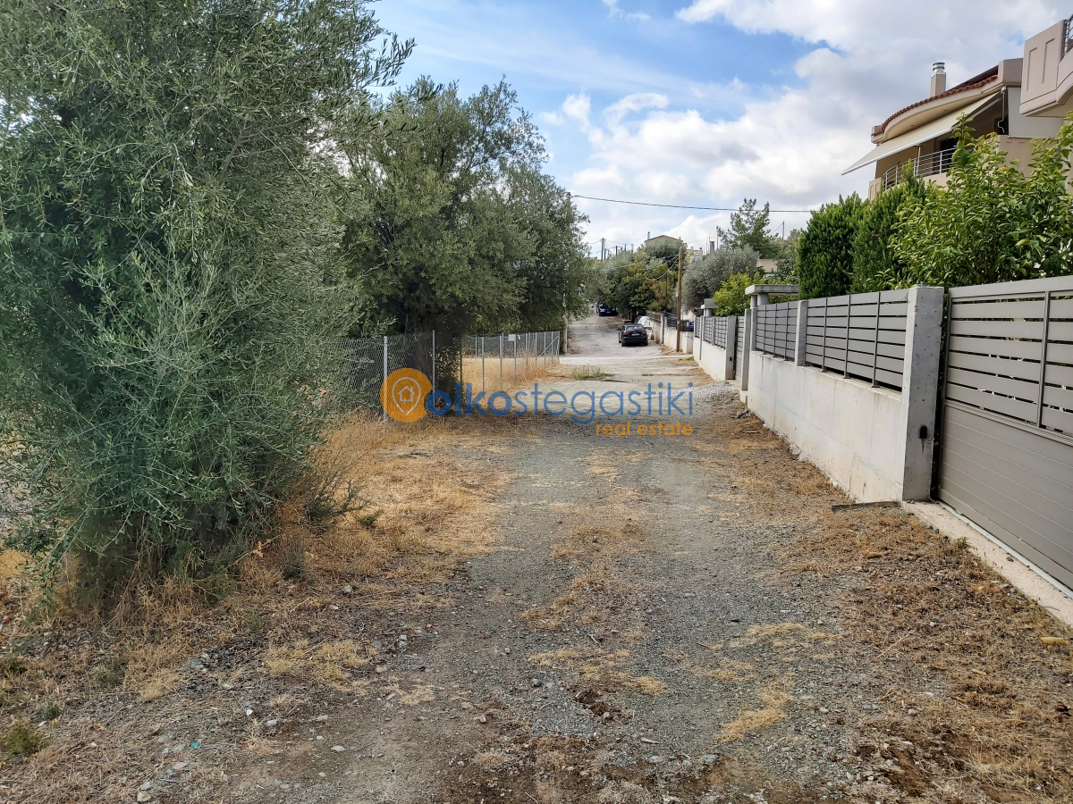 property-img