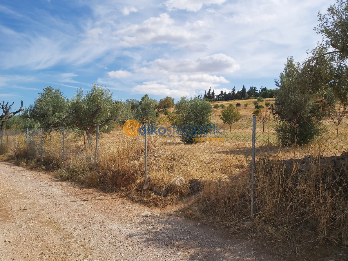 property-img