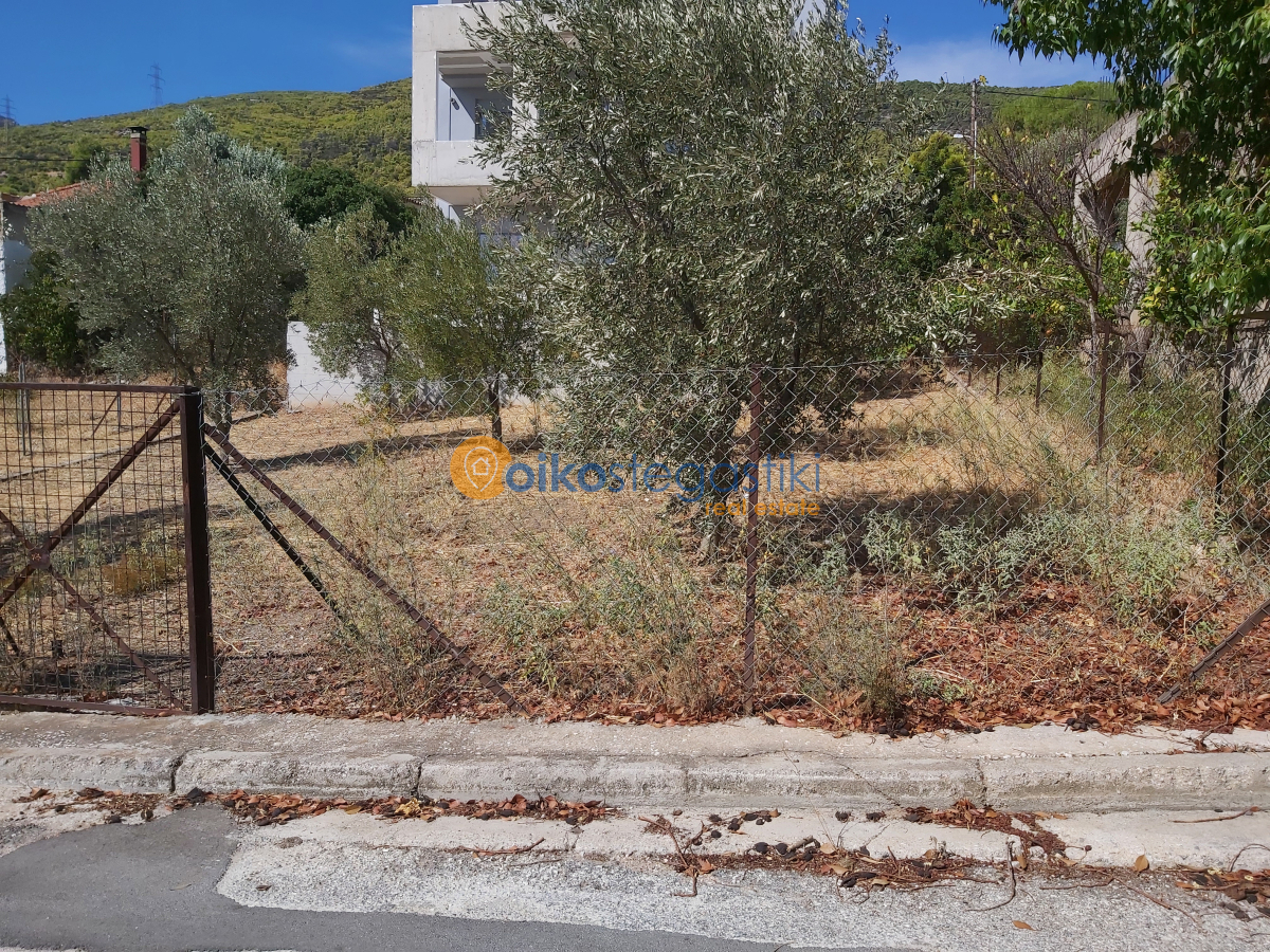 property-img