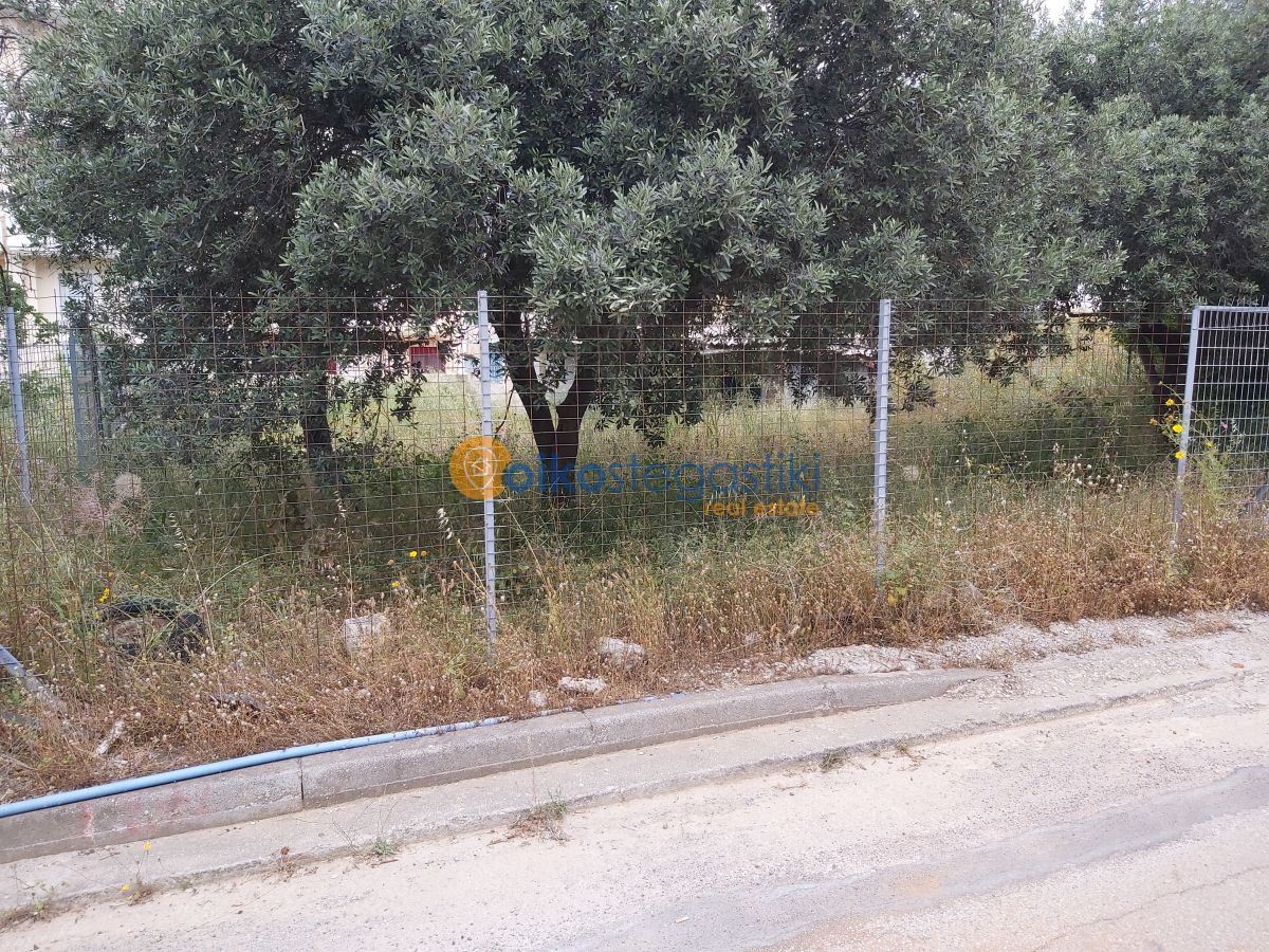 property-img