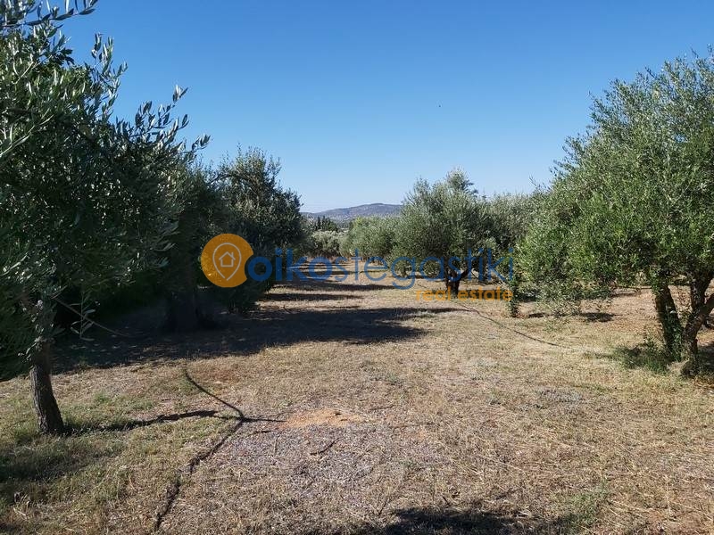 property-img